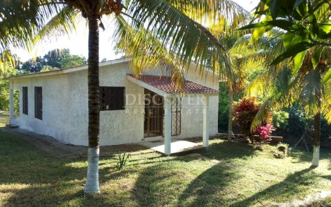  For sale beautiful house with large land and fruit trees.