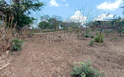  Great Investment Property Surrounded by Nature
