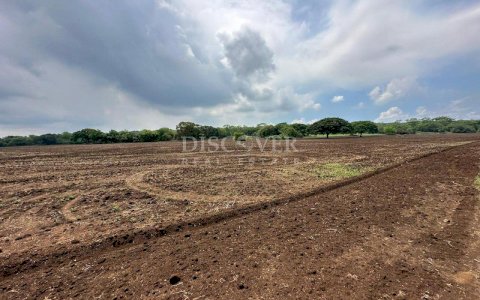  Land for sale in the Nindirí area