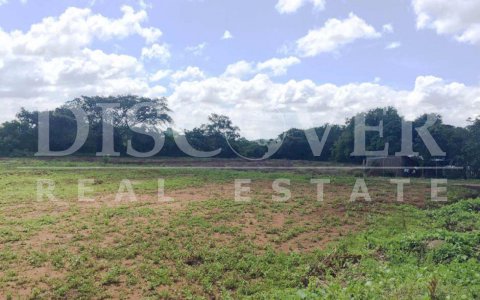 Attractive farm for sale located in carretera vieja León