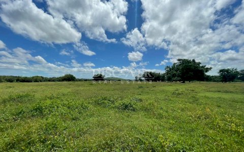 Land for sale on the way to Las Jaguitas, Veracruz.