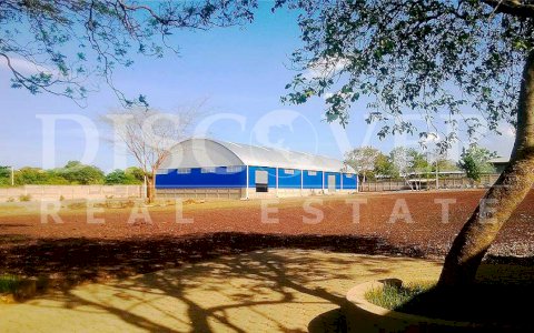  Warehouses for rent in Pista Sabana Grande.