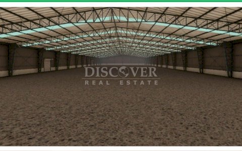  Warehouse for Rent in Carretera Nueva León.