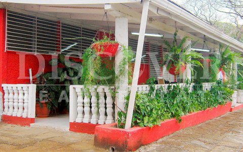  Country House for Sale at Old to Lion Road ID 9868