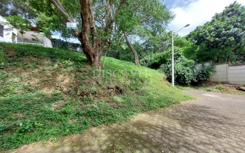 Land for sale in Residencial Montecarlo.