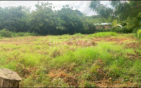  Land for sale Hacienda Iguana / Playa Colorado