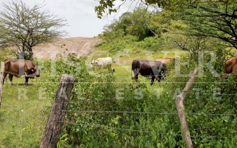  Finca for sale located in Somotillo