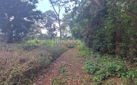  Land for sale in Veracruz.