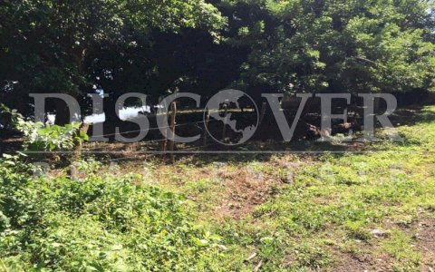  Land for Sale on Ometepe Island ID 12760
