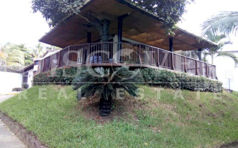  Local with high commercial potential for Rent in Villa Fontana ID 11665