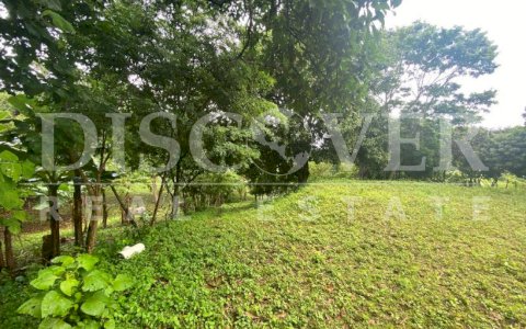  Land for Sale in Jocote Dulce ID 12736