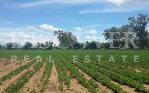 25 Mz for Sale in Managua-Leon Highway