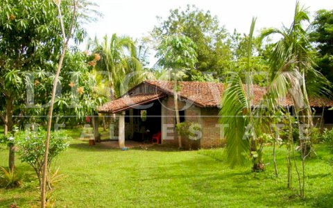 Farm with the option for rent or sale located in León road.