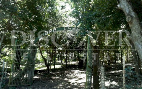 Farm for Sale in Catarina