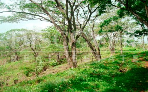  Agroforestal land of 502.49 acres for sale in Cárdenas, Rivas. 