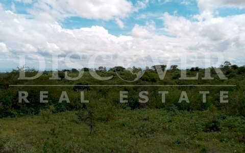  274.85 Mz Property for Sale