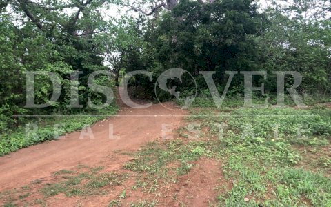  26.10 acres Land for Sale located in Nindiri ID 10696