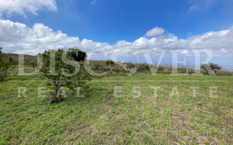  Land for Sale in Crucero ID 12606