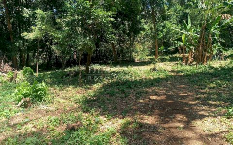  Prime Land for Estate Development
