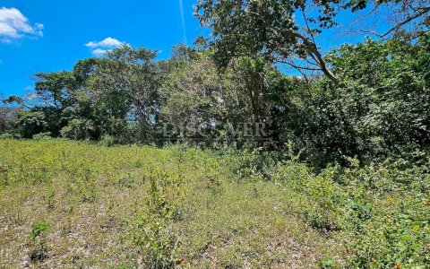 10,000 meters of land available for dismemberment for sale in Jocote Dulce 