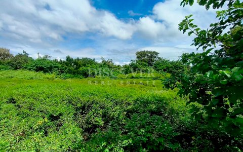 Lots for sale located near the city of Granada 