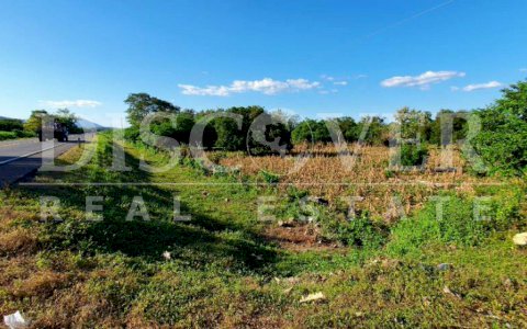  Agricultural farm for sale on the Panamerican highway