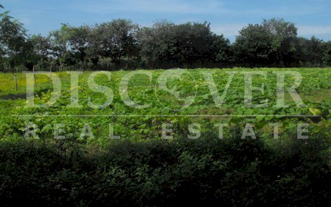 Excellent Lot for Sale in Veracruz ID 8430