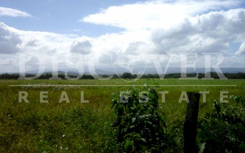 Livestock Farm for Sale in Los Brasiles