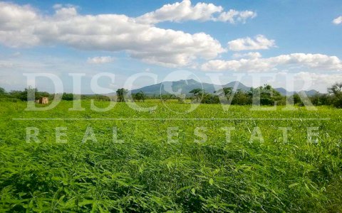 Land for Sale ln Malpaisillo-San Isidro Road