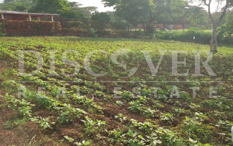 Flat Land for Sale located in Masaya Road ID 11014