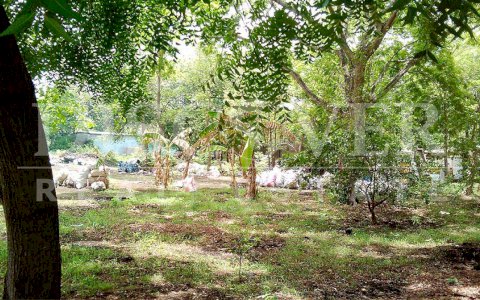  Flat Land for Sale in Masaya Highway ID 9921
