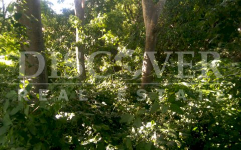 Flat Land for Sale located in Masaya Highway ID 10242