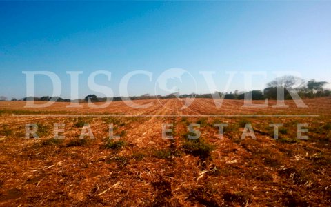  For Sale Flat Land on Masaya to Tipitapa Highway ID 9751 