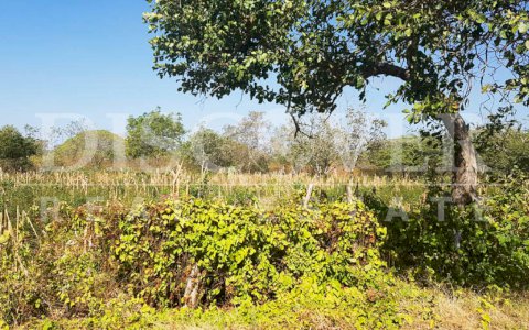 Farm for sale located at Carretera Nagarote