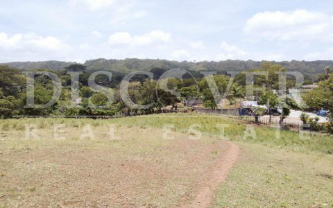  Land for Sale located in Old Lion Road ID 10529