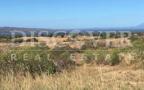 Land for Sale located in nueva León road.