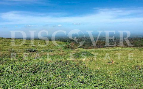  Flat Land for Sale in The Crucero ID 10132