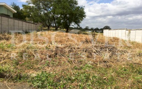  Land of 1,118.39 square meters for Sale located on South Road ID 10499