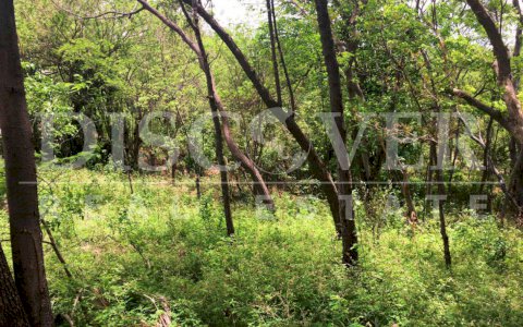 Land for Sale located in Carretera Sur ID 10892