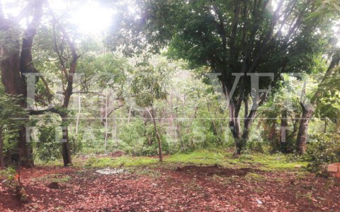  Land for Sale located in Old to Lion Road ID 10642