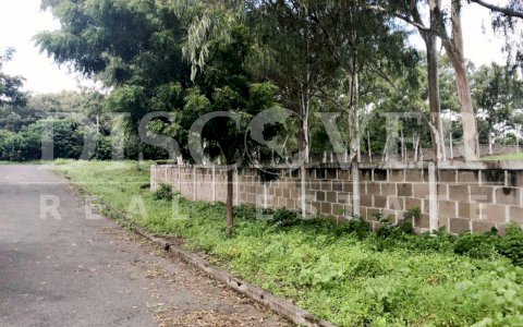  Land of 417.65 acres for Sale located in Carretera Vieja Leon, Chiquilistagua ID 11201