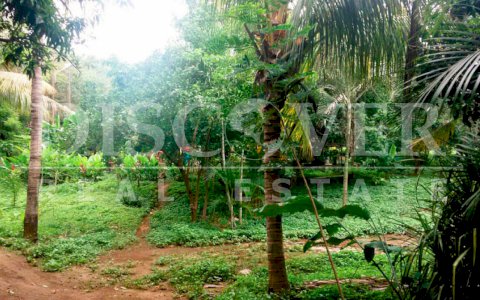  Land for Sale located in Las Colinas ID 11053