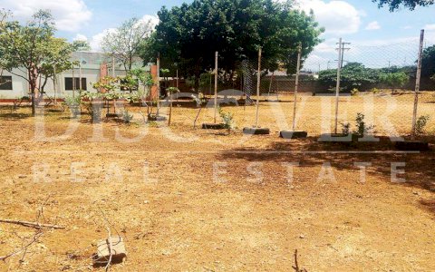  Flat Land for Sale located in strategically zone of Managua ID 9932