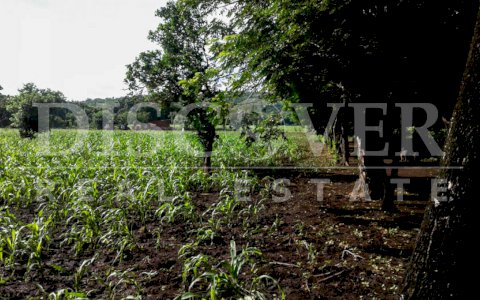  Land for sale located in front of the country club, sabana grande.