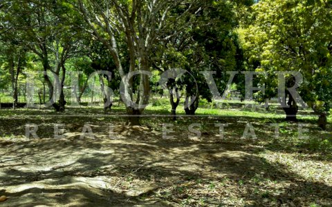 Land for Sale located in Diriomo, Granada ID 10345