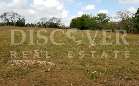 Land for Sale located in Veracruz ID 10484