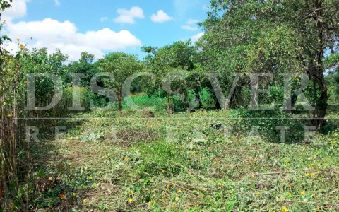  Land for Sale located in Esquipulas ID 10654