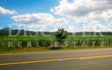 Land for Sale located at Carretera Malpaisillo, León