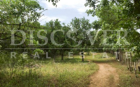  Land of 34.80 acres for Sale located in Masaya ID 10389
