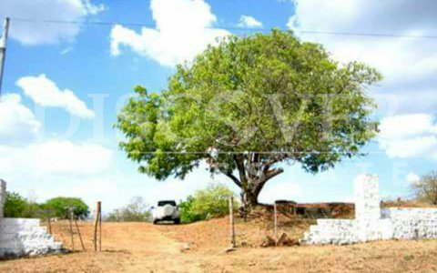  Land for Sale located in Pochomil Viejo.